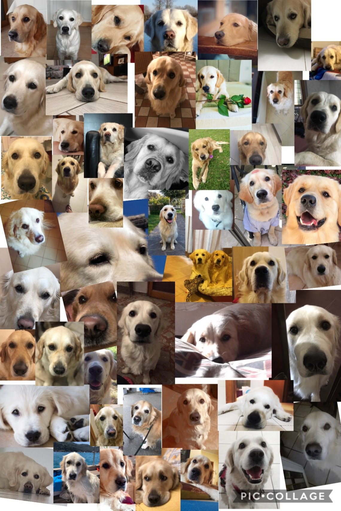 0FC022F9-70AC-4A7C-AB4C-276E631D3BFC